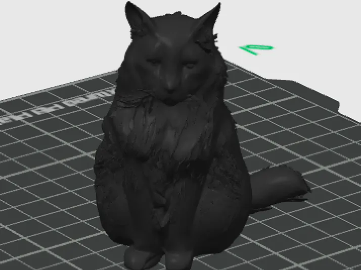 Sitting Cat