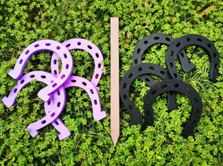 Horse Shoe Throwing Game