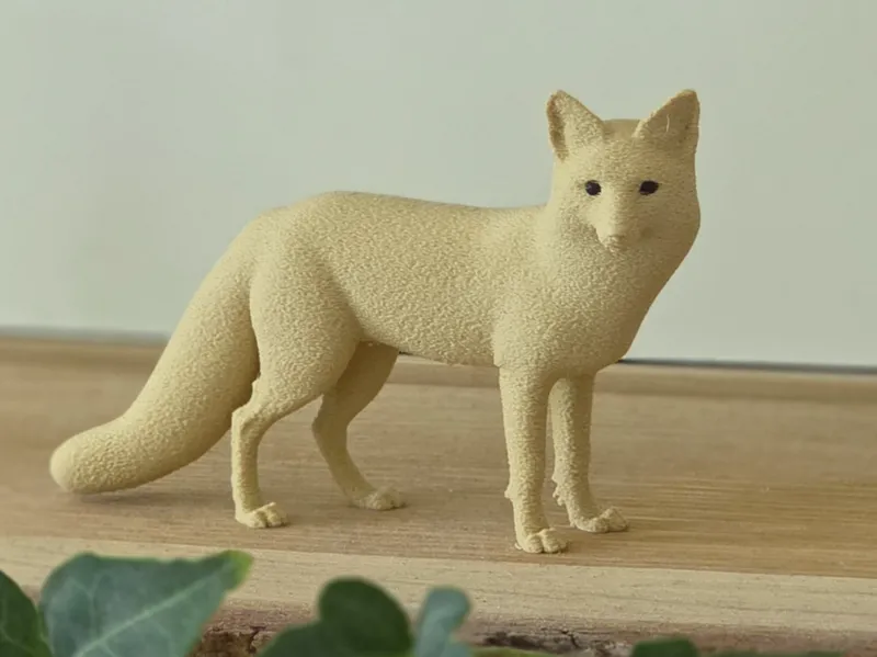 Fox