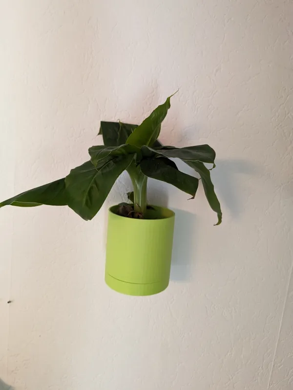 https://makerworld.bblmw.com/makerworld/model/US3144e2227b246a/design/2024-03-19_9d37c2562f4f08.jpg