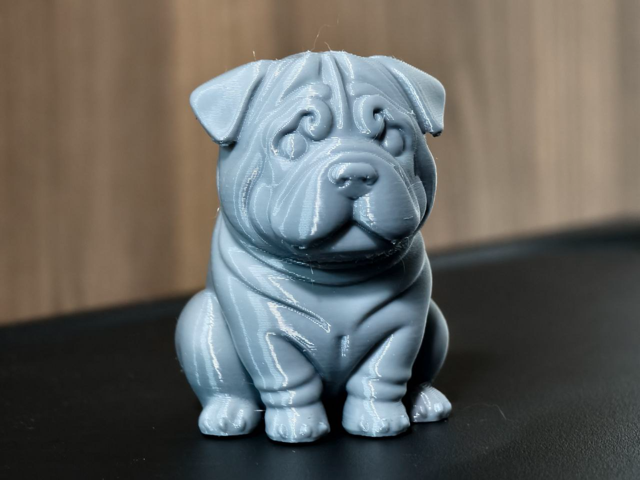 Chubby Foldy Pup