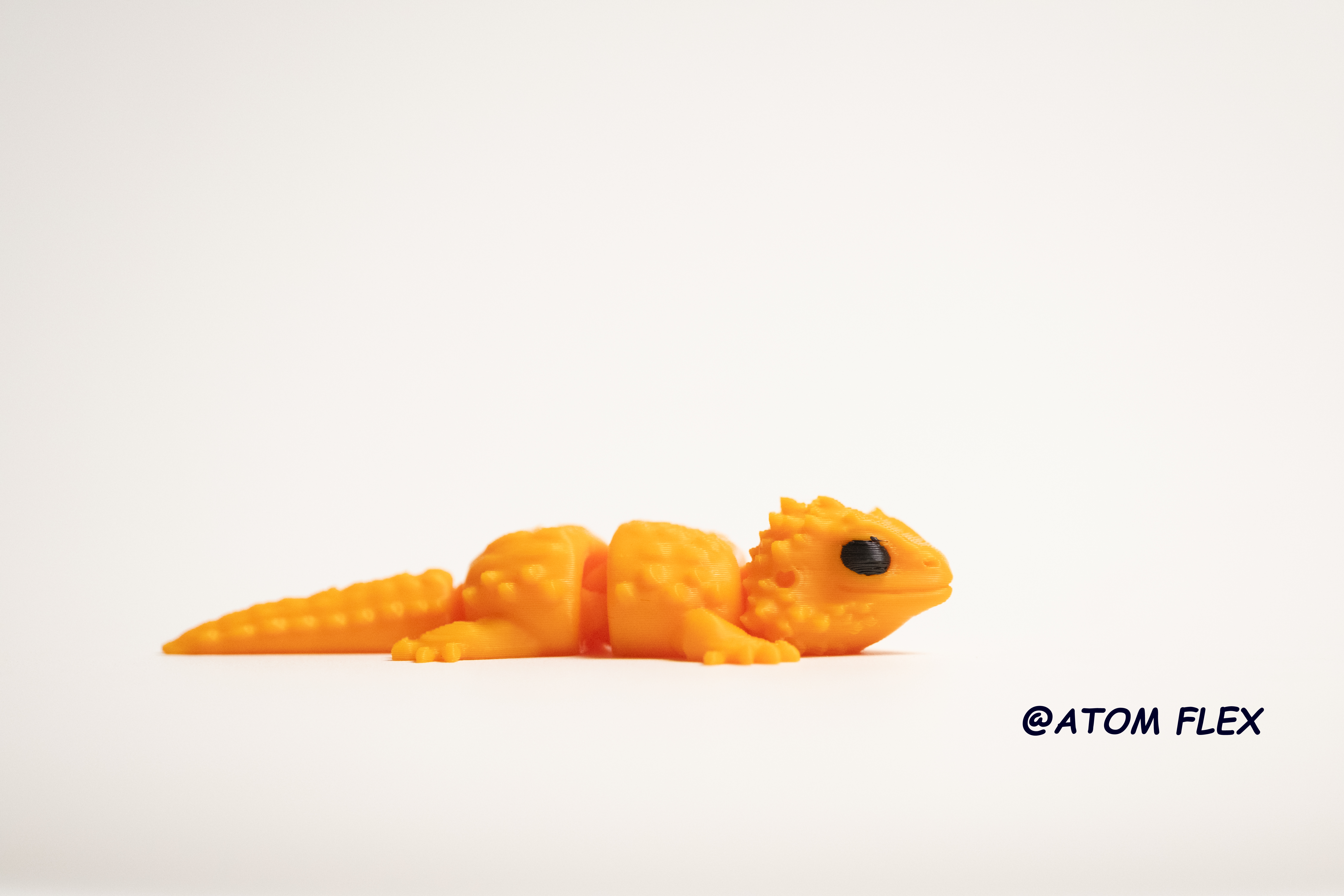 Slinky the Flexi Bearded Dragon - 1