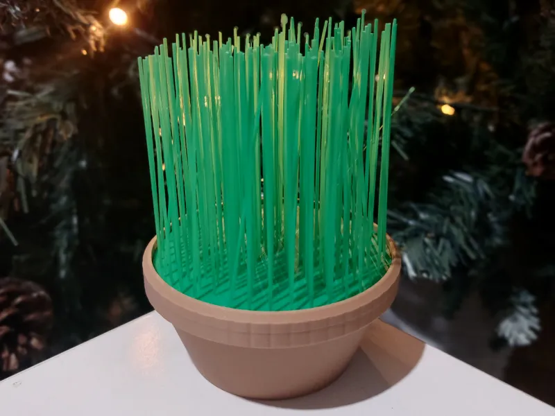 Christmas Wheatgrass
