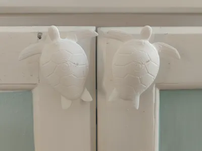 Sea Turtle cabinet knob