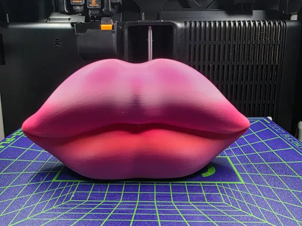 https://makerworld.bblmw.com/makerworld/model/US3150b721b87c83/design/90b5d22aae1d80d3.jpeg
