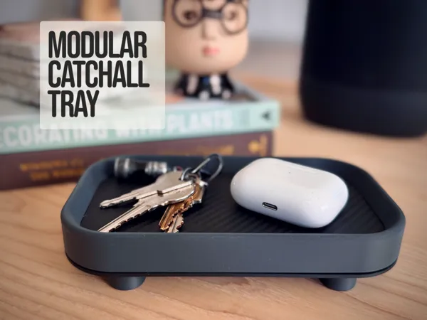 https://makerworld.bblmw.com/makerworld/model/US3152a5921d94f/design/2025-06-04_78590a3e88bc78.jpg