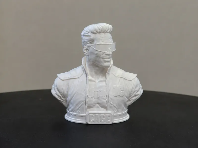 Johnny cage Bust 3D Print Model 554