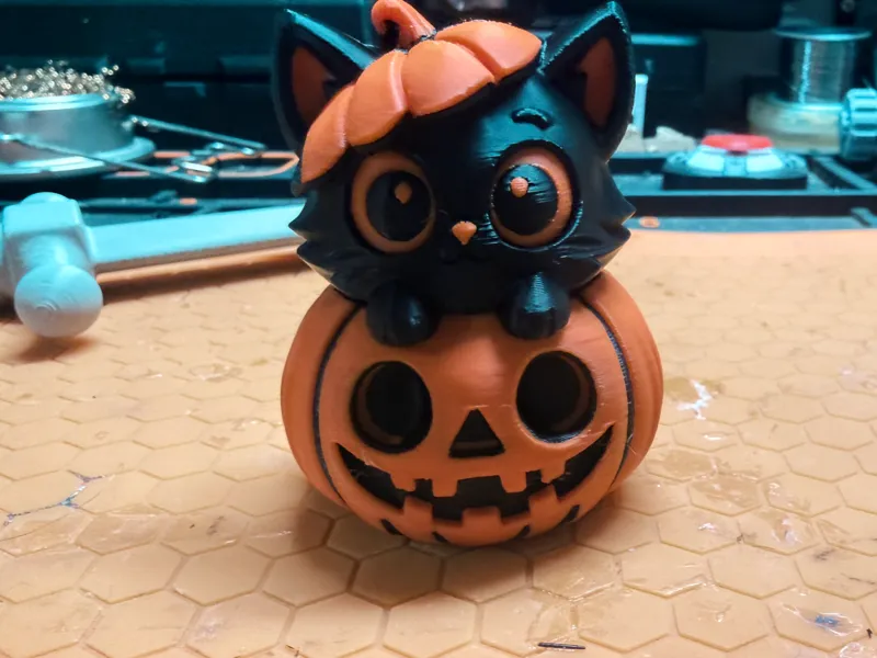Cute Cat in a Pumpkin