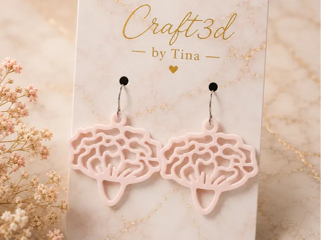 Boucles oreilles 252