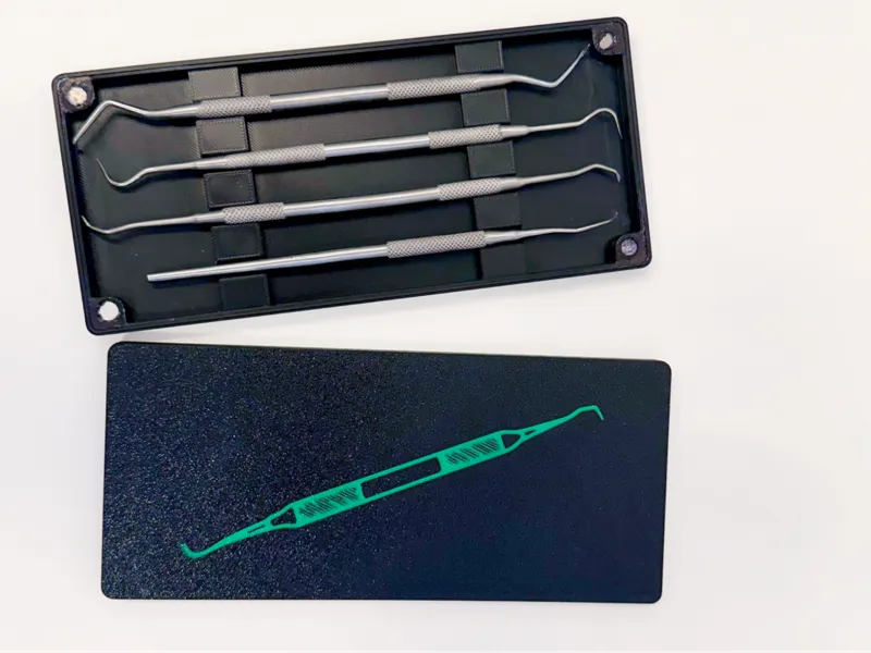 Dental Picks Case