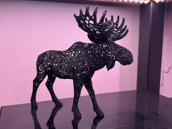 https://makerworld.bblmw.com/makerworld/model/US3156c1fd1a10c2/design/2025-12-12_ed03d9efdf5548.jpeg