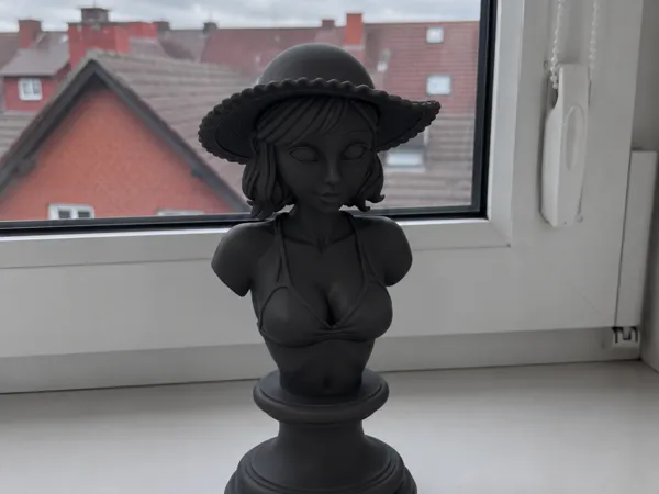 https://makerworld.bblmw.com/makerworld/model/US3159dfdfbdb4dc/design/8756dcfa81c502ed.png