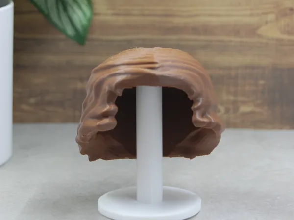 https://makerworld.bblmw.com/makerworld/model/US315adf188ea2ce/design/cb7caf37c7e98568.jpg