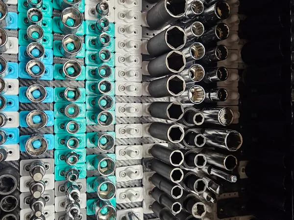 https://makerworld.bblmw.com/makerworld/model/US315b7f1cacd5e1/design/06df1daeb2df9a68.jpg