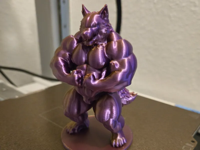 xander - most muscular