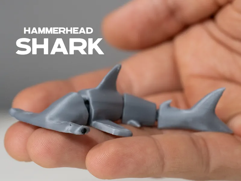 Hammerhead Shark - Articulated