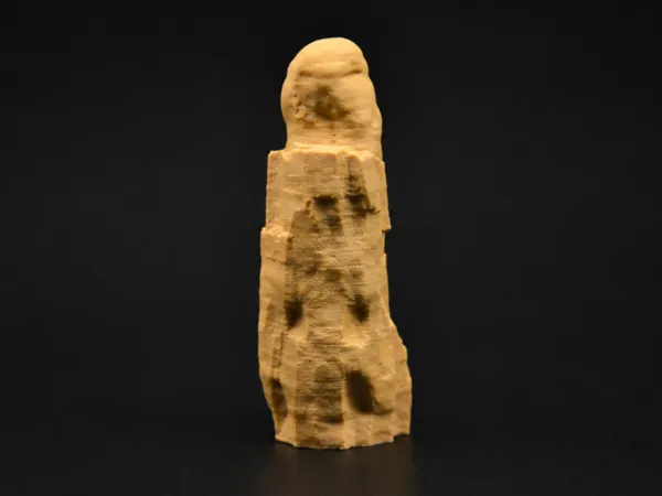 https://makerworld.bblmw.com/makerworld/model/US316da69e615653/design/d532faae70529087.png