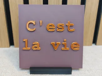 decoratieve tegel met tekst C est la vie