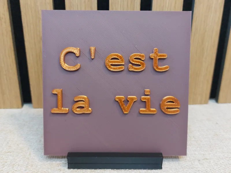 decoratieve tegel met tekst C est la vie
