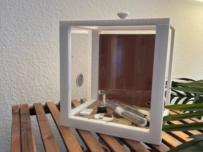 Selbstgebautes Ameisennest