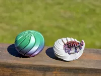 50mm 1 color 0.2mm layer, 2 walls, 0% infill