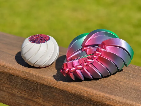 https://makerworld.bblmw.com/makerworld/model/US317681af48504f/design/4306e00faa3e2e43.jpg