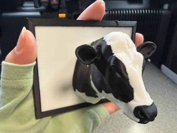https://makerworld.bblmw.com/makerworld/model/US3178a1eb1291ff/design/616bea7036b142ba.png