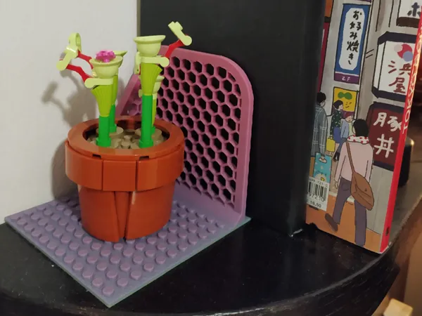 https://makerworld.bblmw.com/makerworld/model/US317bb78e9de962/design/2025-04-24_3009be173a70a.jpg