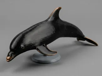 High detail Dolphin