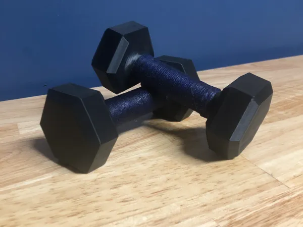 https://makerworld.bblmw.com/makerworld/model/US317e60afc6f2db/design/2024-12-15_cf20e8c0c00ef.jpeg