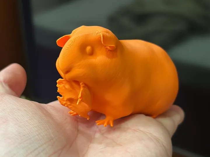 Figurine cochon d'Inde croquant une salade