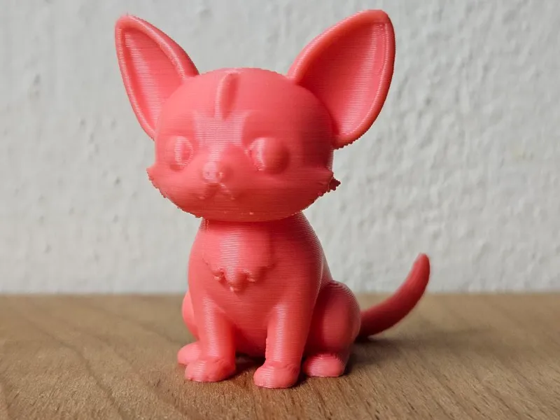 big eared Chihuahua 