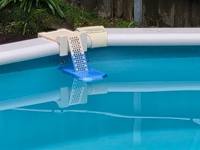 Animal Pool Ramp