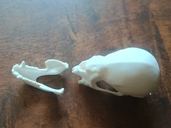 https://makerworld.bblmw.com/makerworld/model/US318b333a5e95d0/design/2025-04-25_8dda67c3b4c59.jpg