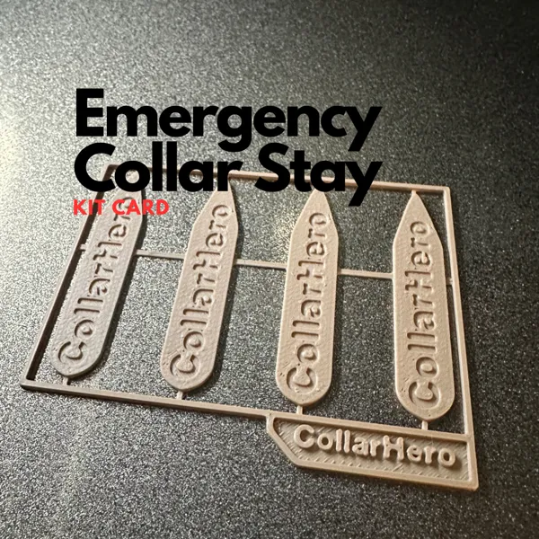 https://makerworld.bblmw.com/makerworld/model/US318d6795e29290/design/2024-02-29_f22ef1123de47.png