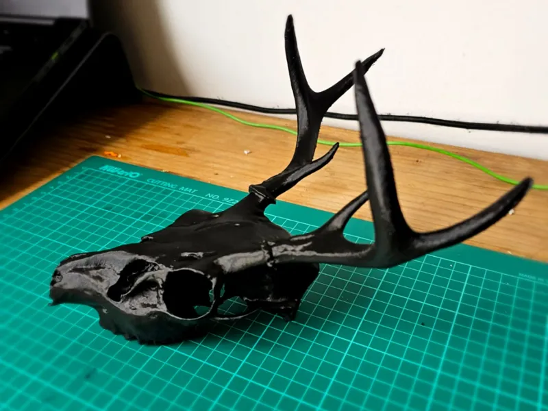 White tailed deer Detail 3D Scan (Photogrammetry)