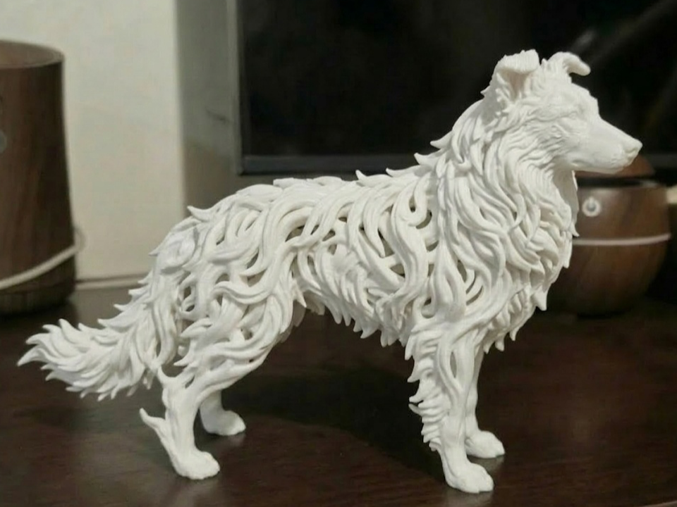 Border Collie - "The Mastermind"