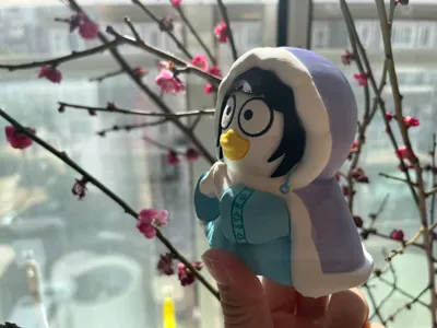 Huanhuan Duck (Searching for Plum Blossoms in the Snow)