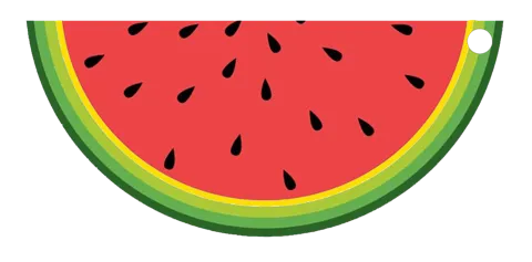Watermelon slice earrings ..... cocomero orecchini