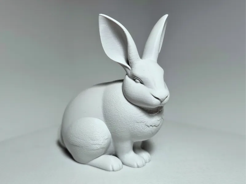 Small bunny