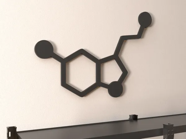 https://makerworld.bblmw.com/makerworld/model/US319d92afb623fc/design/2024-08-02_317219412b9a3.png