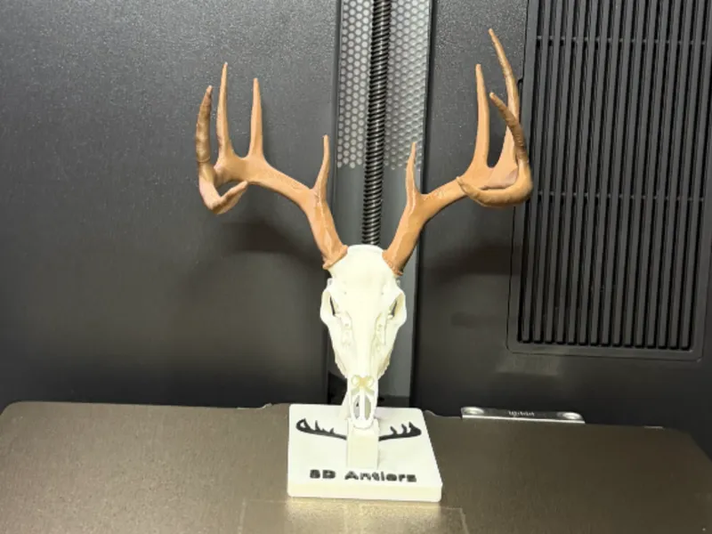 10 Point Whitetail Buck Deer