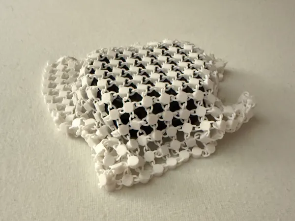 https://makerworld.bblmw.com/makerworld/model/US31a3e4608300b7/design/2025-04-13_788dbf5fbe0c88.jpg