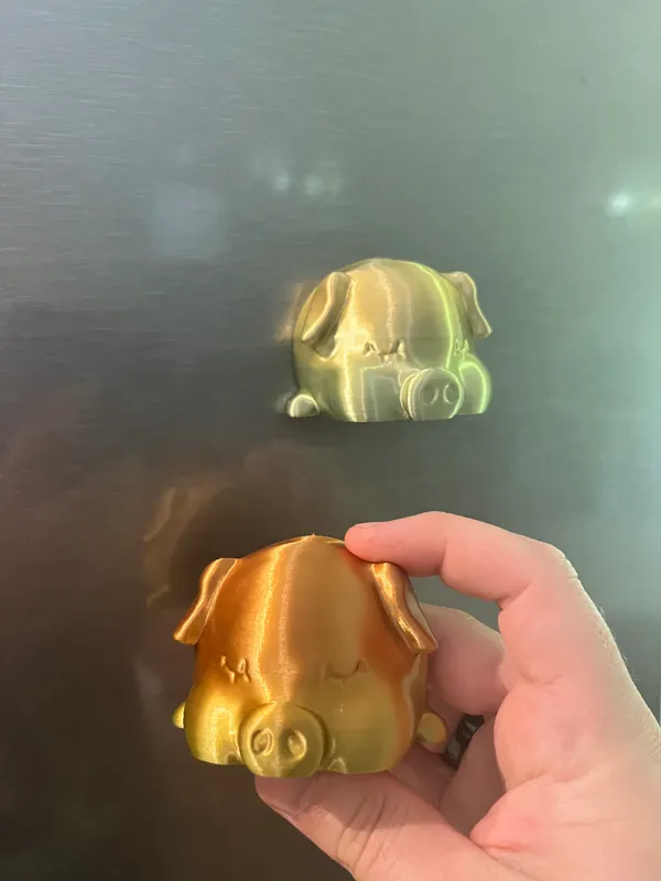 https://makerworld.bblmw.com/makerworld/model/US31a5d528a121ae/design/2023-11-13_71d465043c2dc.jpg