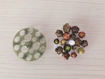 Modelo para impresión 3D: Modular corm propagation station — vista de referencia 3