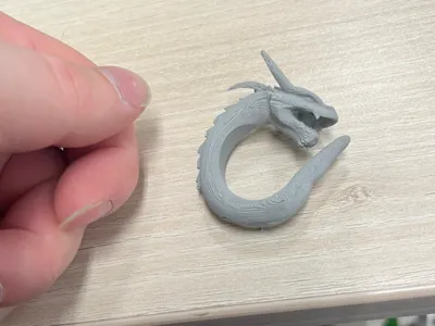 Dragon ring 