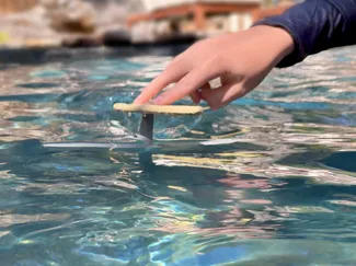 FingerFoil pool toy - literally flies underwater