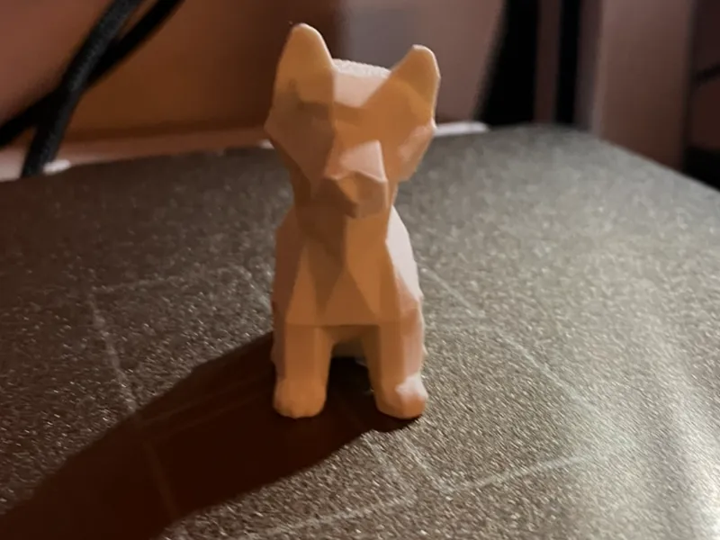 Small geometric dog