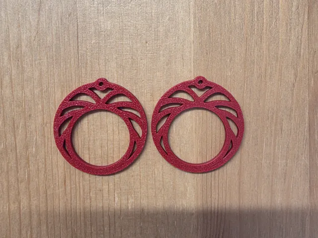 Modern Earrings
