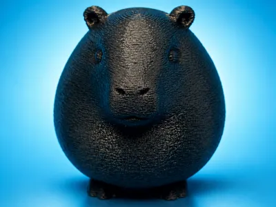 fat capybara